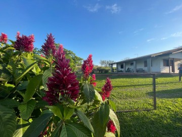 Chcara - Venda - Caju - Nova Santa Rita - RS