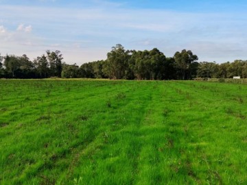 Chcara - Venda - Sanga Funda - Nova Santa Rita - RS