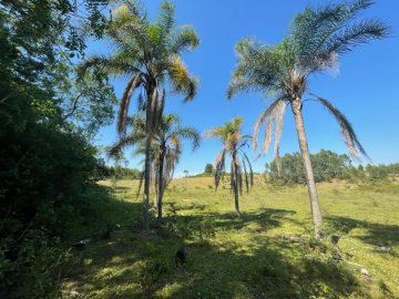 Chcara - Venda - Sanga Funda - Nova Santa Rita - RS