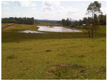 Chcara - Venda - Sanga Funda - Nova Santa Rita - RS